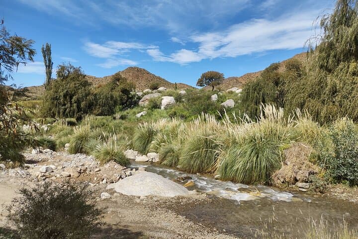 Outdoor BBQ at Finca La Cruz: Asado, Mountains & Mate near Salta photo 5