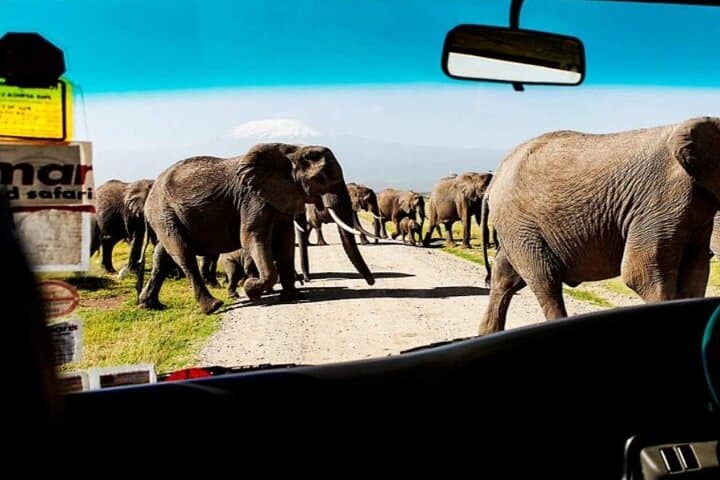 Overnight Amboseli Safari from Nairobi: Kilimanjaro Views & Morning Game Drives photo 2