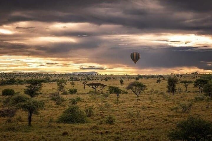 Day Trip to Tarangire National Park: Arusha Safari & Wildlife Viewing photo 4