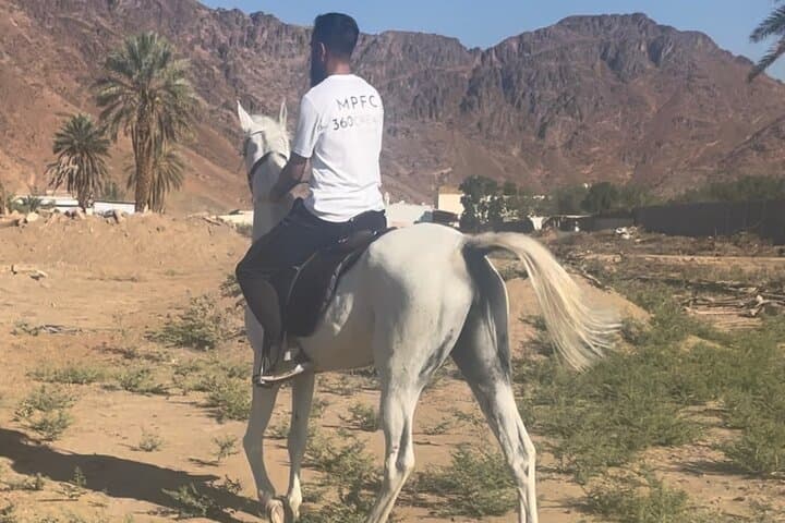 Horseback Riding in Madinah: 1-Hour Private Ride with Mount Uhud Views photo 2