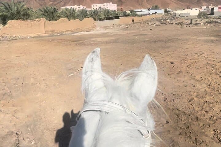 Horseback Riding in Madinah: 1-Hour Private Ride with Mount Uhud Views photo 3