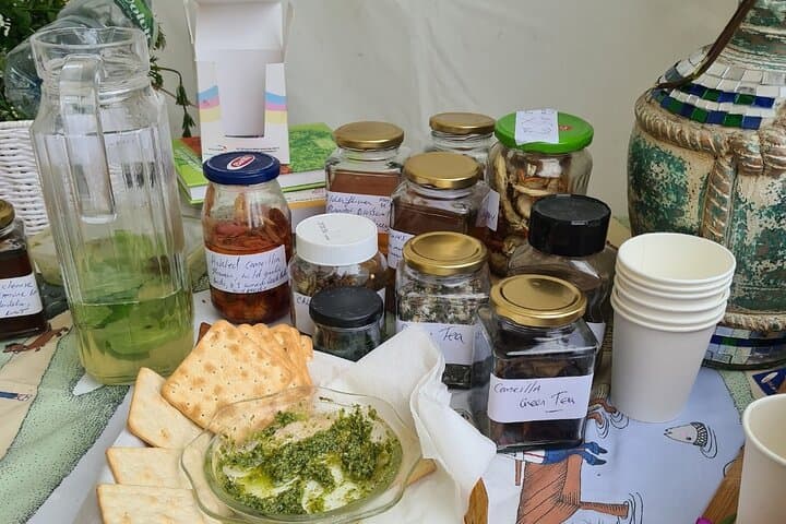 Spring Foraging on Howth Head with Nicole: Wild Food Tour photo 4