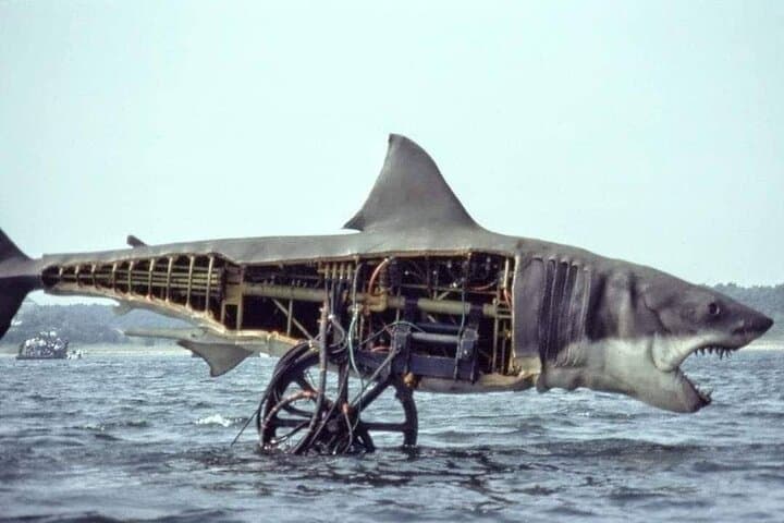 Martha's Vineyard JAWS Filming Sites Hop-On Hop-Off Tour photo 4