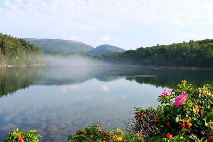 Exploring Mount Desert Island’s Coastal Charms: A 3-Hour Private Tour
