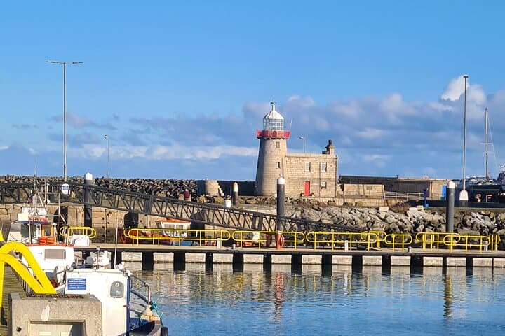 Spring Foraging on Howth Head with Nicole: Wild Food Tour photo 5