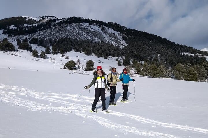 Weekend Snowshoeing in Vall d' Arán: Guided Pyrenees Getaway from Vielha photo 2