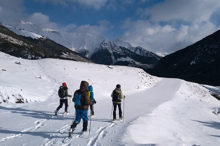 Weekend Snowshoeing in Vall d' Arán: Guided Pyrenees Getaway from Vielha photo 3