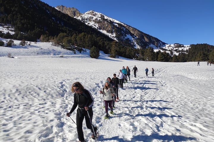 Weekend Snowshoeing in Vall d' Arán: Guided Pyrenees Getaway from Vielha photo 4