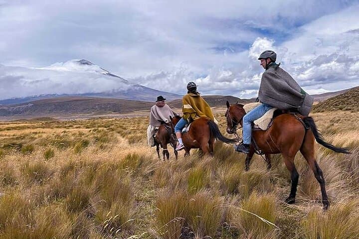 Full-Day Cotopaxi Horseback Ride: Ride the High Páramo from Quito photo 2
