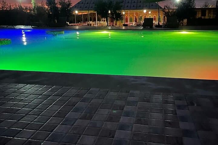 Desert Pool Day Near Marrakech: Oasis Swim, Sun and Moroccan Views photo 5