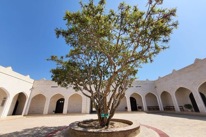 Half-Day Salalah City Tour & Haffa Souq — Al Baleed Frankincense Experience photo 4