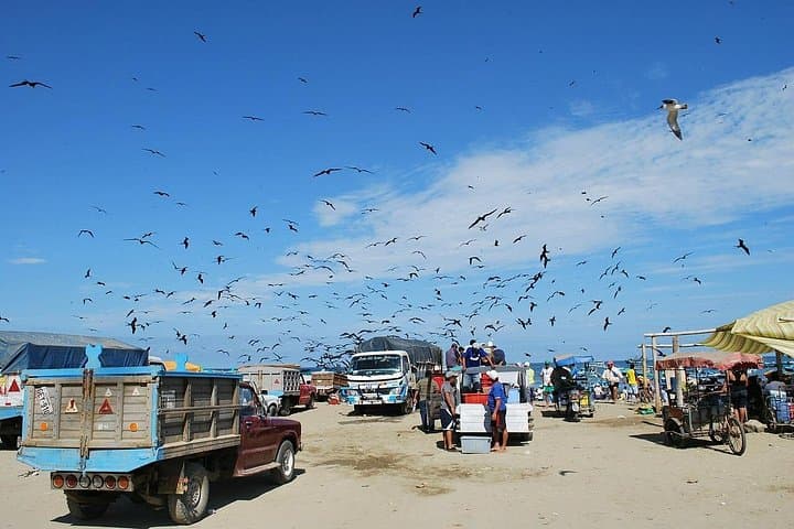 Taste of Ecuador: Manta Fish Market, Pacoche Rainforest & Montecristi Hat Tour photo 2