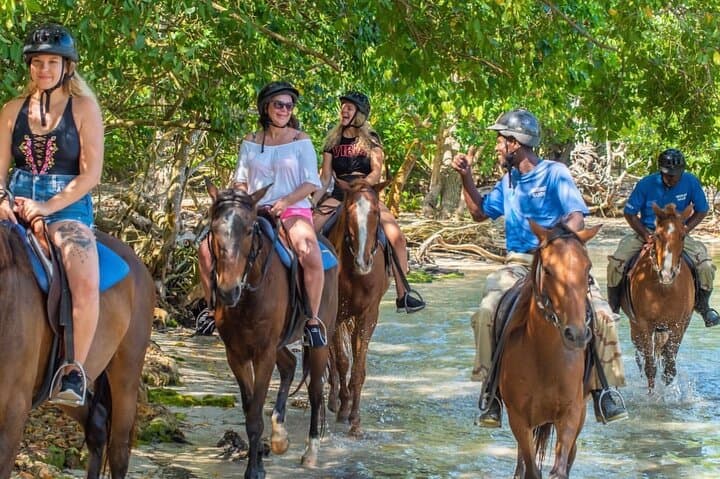 Roatán Horseback Ride and West End Tour — Rum, Chocolate & Coastal Views