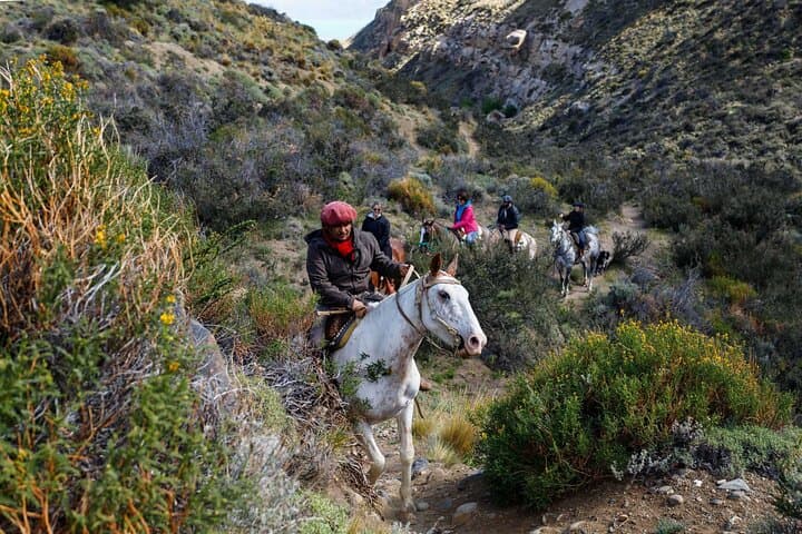 Horseback Riding with Gauchos and Native Empanadas in Lunlunta, Mendoza photo 6