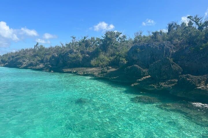 Saona Island Day Trip from La Romana — Snorkel, Natural Pool & Beach photo 3