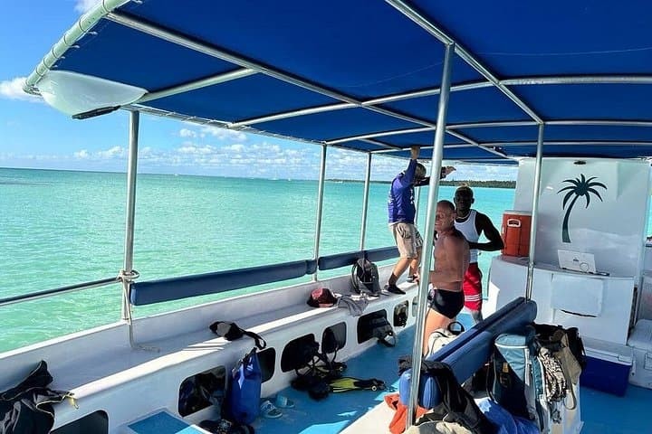 Saona Island Day Trip from La Romana — Snorkel, Natural Pool & Beach photo 5
