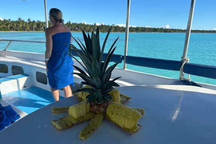 Saona Island Day Trip from La Romana — Snorkel, Natural Pool & Beach photo 6