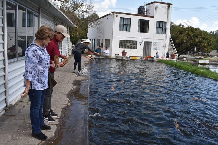 Cholula and Atlixco Private Tour: Great Pyramid, Volcano Views & Trout Farm photo 4