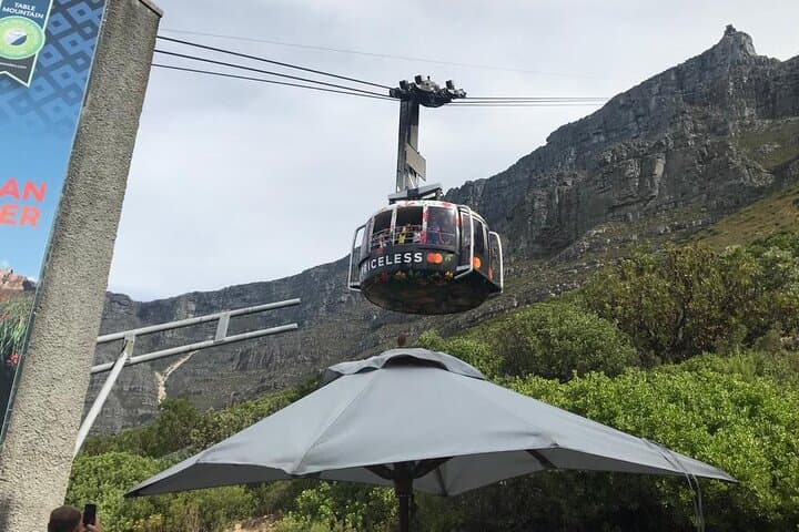 Full-Day Table Mountain, Boulders Beach Penguins & Cape Point Scenic Tour