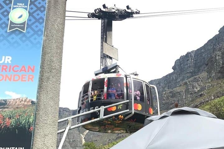 Full-Day Table Mountain, Boulders Beach Penguins & Cape Point Scenic Tour photo 2