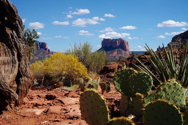 Sedona Half-Day Private Hike: Guided Red Rock Tour with Gourmet Picnic photo 1
