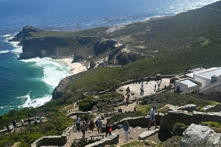 Full-Day Table Mountain, Boulders Beach Penguins & Cape Point Scenic Tour photo 3