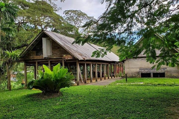 Guided Day Tour at Lopinot Plantation Estate: Cocoa, Caves & Cultural History in Trinidad photo 6