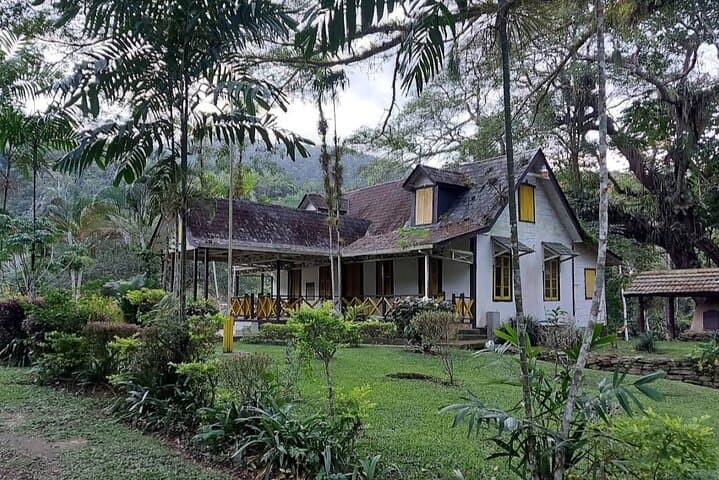 Guided Day Tour at Lopinot Plantation Estate: Cocoa, Caves & Cultural History in Trinidad