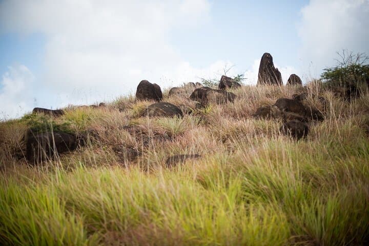 Spring Equinox 2025: 5-Day Stonehenge Experience at Green Castle Hill, Antigua photo 6