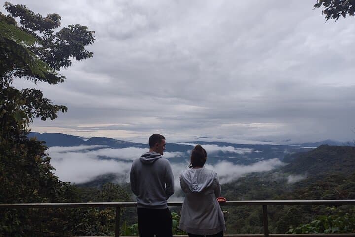 Mindo Cloud Forest Private Birdwatching Tour from Quito photo 2