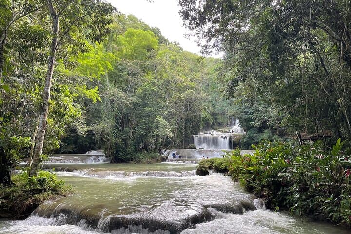 Zipline YS Falls and Black River Safari: Private Day Tour from Montego Bay photo 5