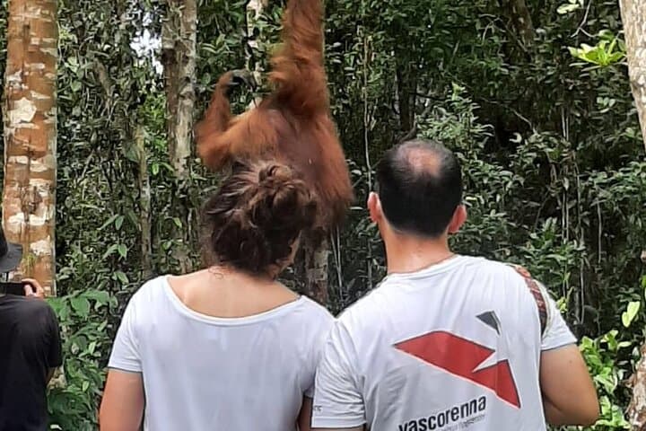 Tanjung Puting Honeymoon: Private Orangutan Kelotok River Cruise (3D/2N)