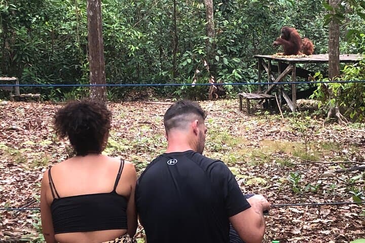 Tanjung Puting Honeymoon: Private Orangutan Kelotok River Cruise (3D/2N) photo 5