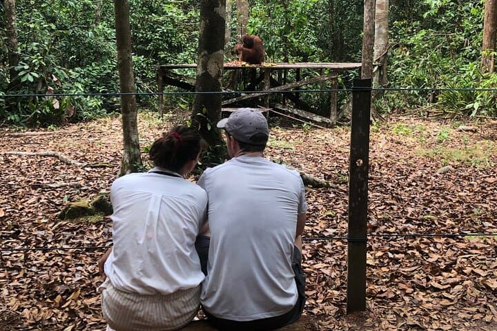 Tanjung Puting Honeymoon: Private Orangutan Kelotok River Cruise (3D/2N) photo 2