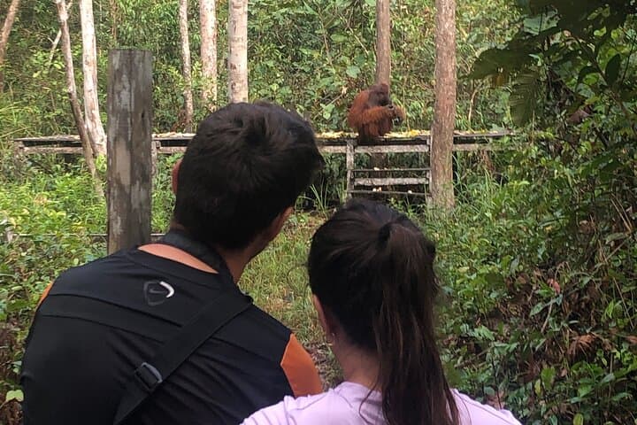Tanjung Puting Honeymoon: Private Orangutan Kelotok River Cruise (3D/2N) photo 4