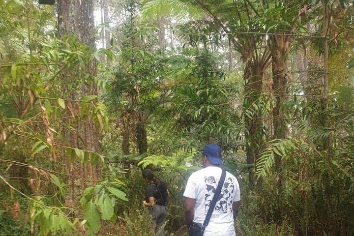 Full-Day Hike to Kawah Ratu on Mount Salak — Active Volcano Day Trip from Jakarta photo 3
