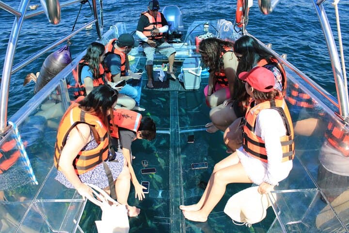 Transparent Boat Ride to El Arco: 45-Minute Glass-Bottom Tour of Lands End, Cabo San Lucas photo 5