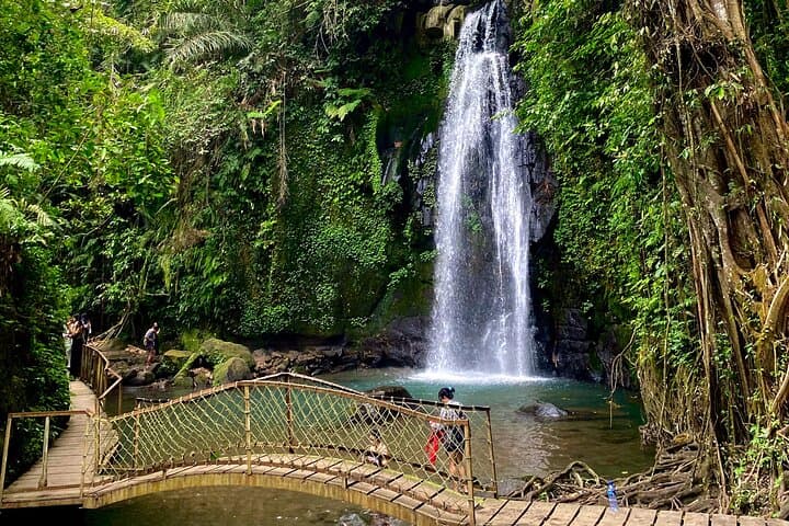 Ubud Private Day Tour — Monkey Forest, Tegalalang Rice Terraces & Tirta Empul photo 4