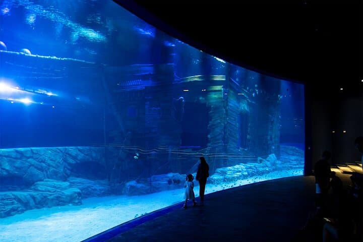 Lotte World Aquarium Hanoi Admission — Tickets, Shows & Visitor Tips photo 2