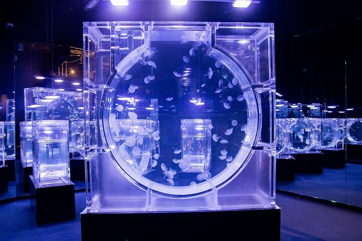 Lotte World Aquarium Hanoi Admission — Tickets, Shows & Visitor Tips photo 4