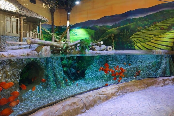 Lotte World Aquarium Hanoi Admission — Tickets, Shows & Visitor Tips photo 5
