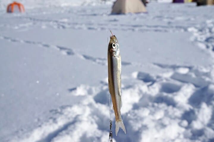 Guided Wakasagi Smelt Fishing — Half-Day Trip from Sapporo
