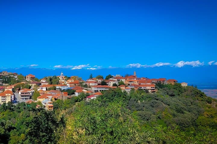 Kakheti Day Tour: Wine, History & Georgian Gastro Experience photo 4