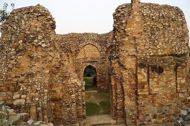 Mehrauli Archaeological Park Guided Half-Day Walking Tour — Delhi History Walk photo 6