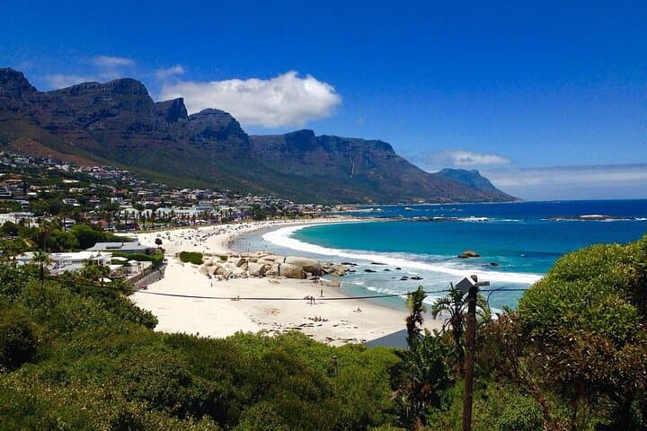 Cape Peninsula Private Day Tour — Penguins, Cape Point & Chapman's Peak photo 2