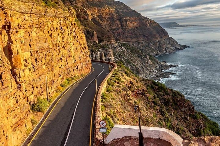 Cape Peninsula Private Day Tour — Penguins, Cape Point & Chapman's Peak photo 3