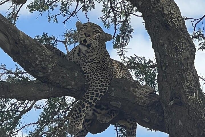 Across Four Countries: 5-Day Victoria Falls, Chobe & Impalila Island Safari photo 4