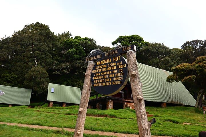 Sneak-Peek Kilimanjaro: Day Hike to Mandara Hut on the Marangu Route photo 4