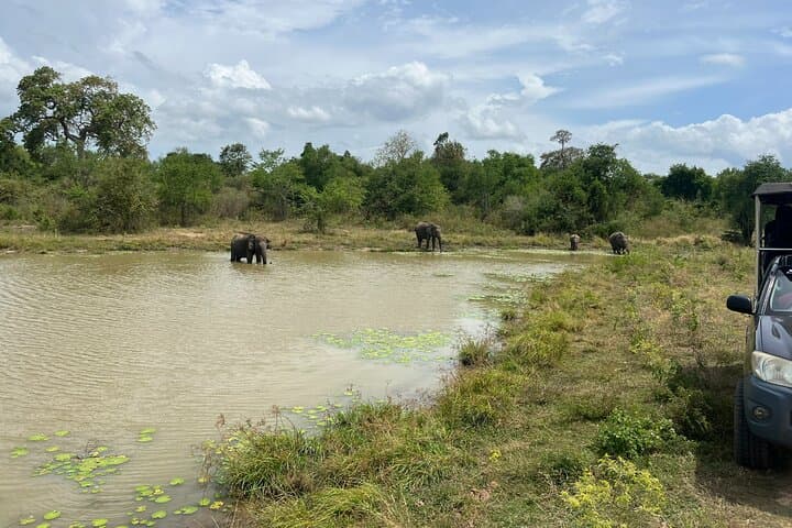 Udawalawe National Park Safari from Hambantota: Guaranteed Elephant Sightings photo 6