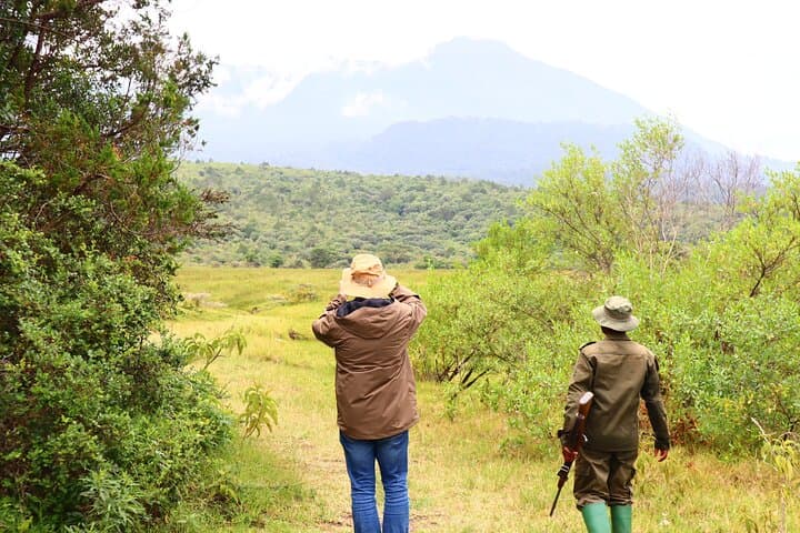 Arusha National Park Day Safari: Game Drive, Walking & Canoe Options photo 2
